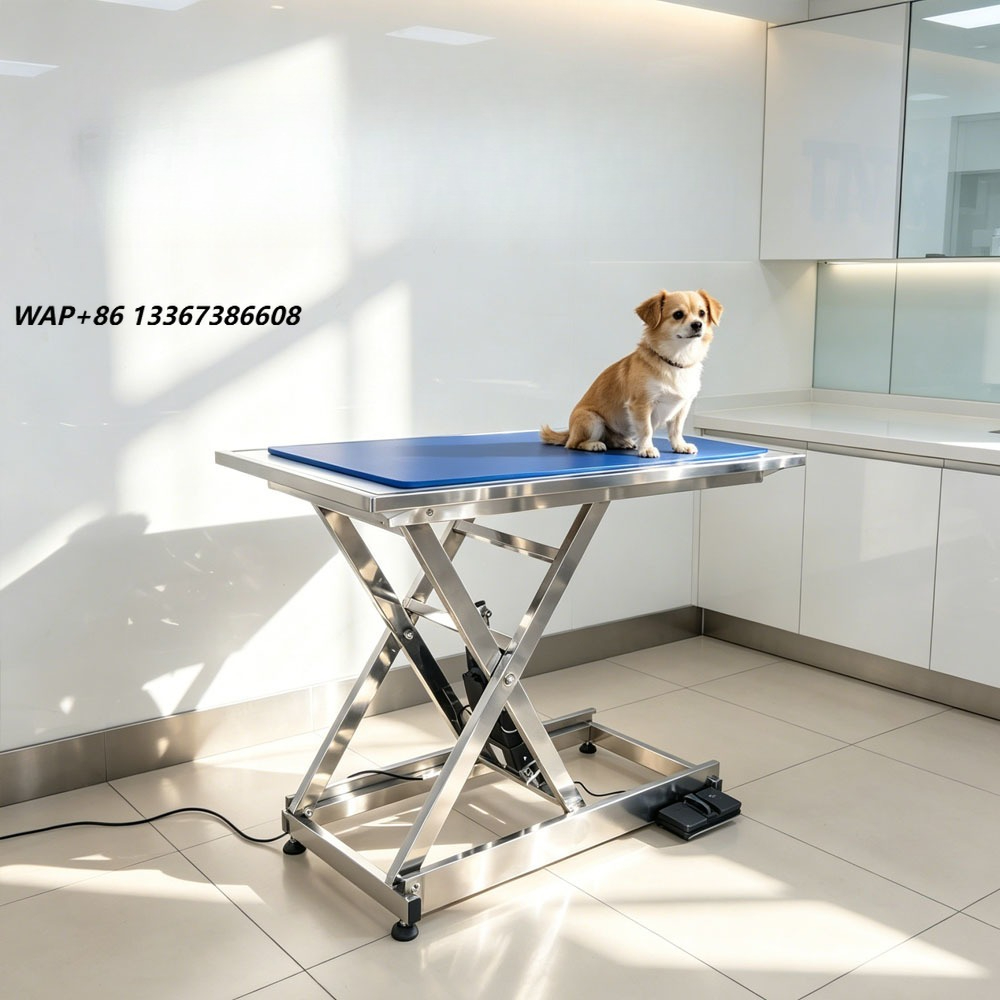 Veterinary X-Ray - ⚠ 동물 X선 검사대, 수의학 장비