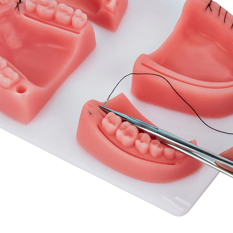 치과 잇몸 피부 봉합술 수술 연습용 의료용 피부 봉합  - Medical Lab Kit 리뷰 및 가격