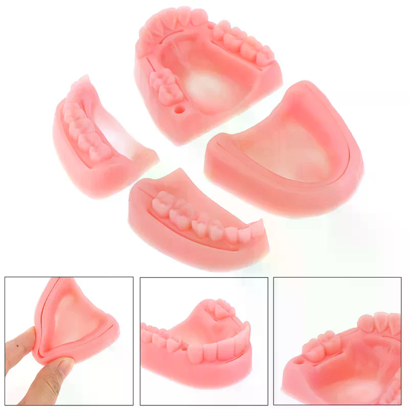 치과 잇몸 피부 봉합 수술 연습용 의료용 피부 봉합 패 - Medical Lab Kit 리뷰 및 가격